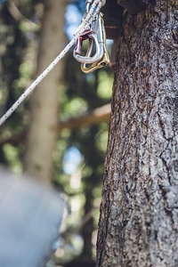 Snap Hook Climb Park