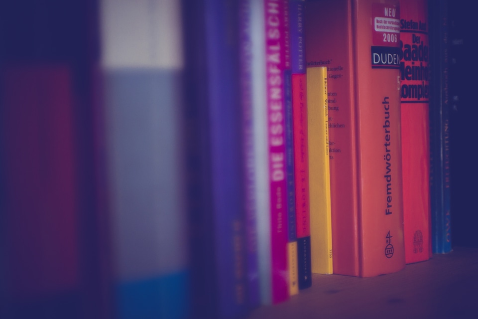 Bookshelf Literature Bookcase