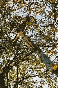 The Cross of Jesus Christ photo