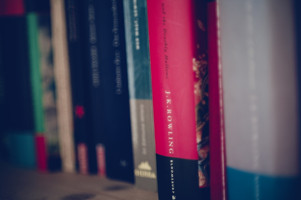 Literature Bookcase Bookshelf