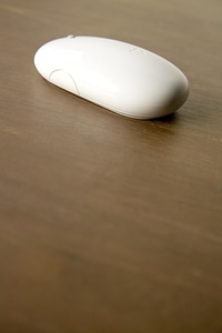 Computer Device Mouse photo