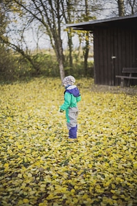 Boy Fall Forest Autumn photo