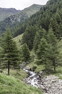 Wilderness River Mountain photo