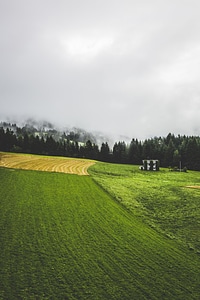 Trail Path Upper Pusteria Valley
