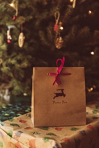 Christmasy Holly Eve Present