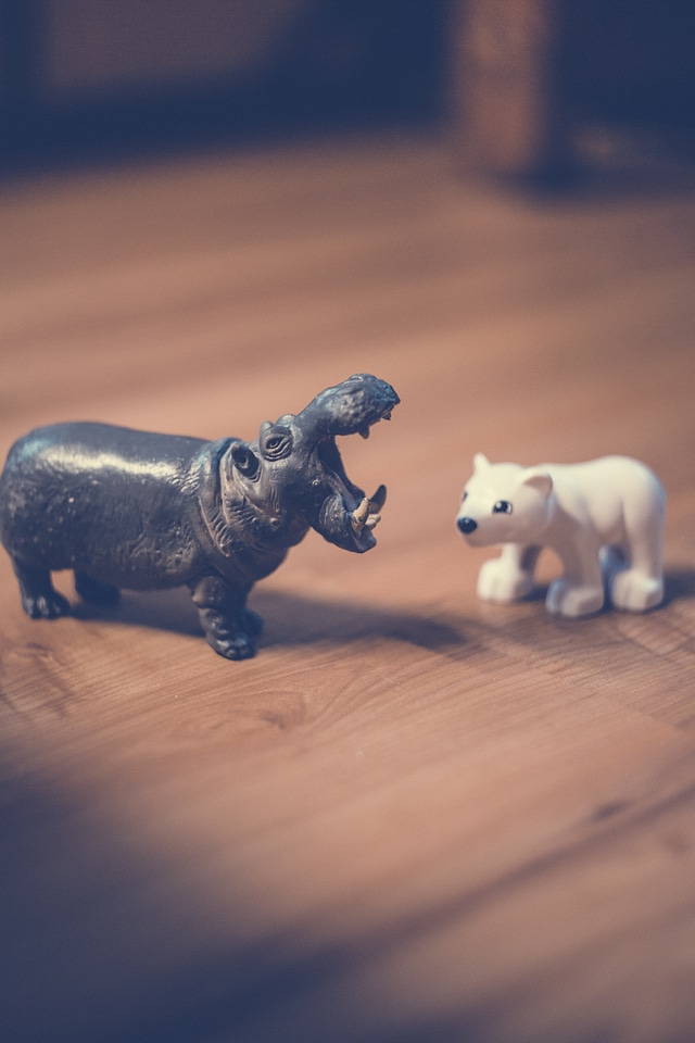 Miniature Hippo Polar Bear Toy