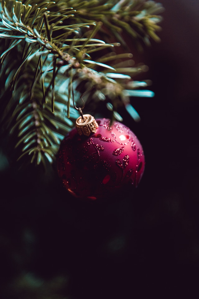 Holiday Eve Ball Fir Tree Xmas