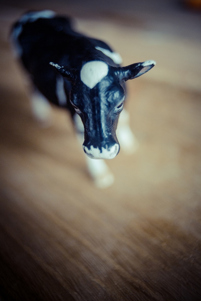Miniature Cow Beef Toy