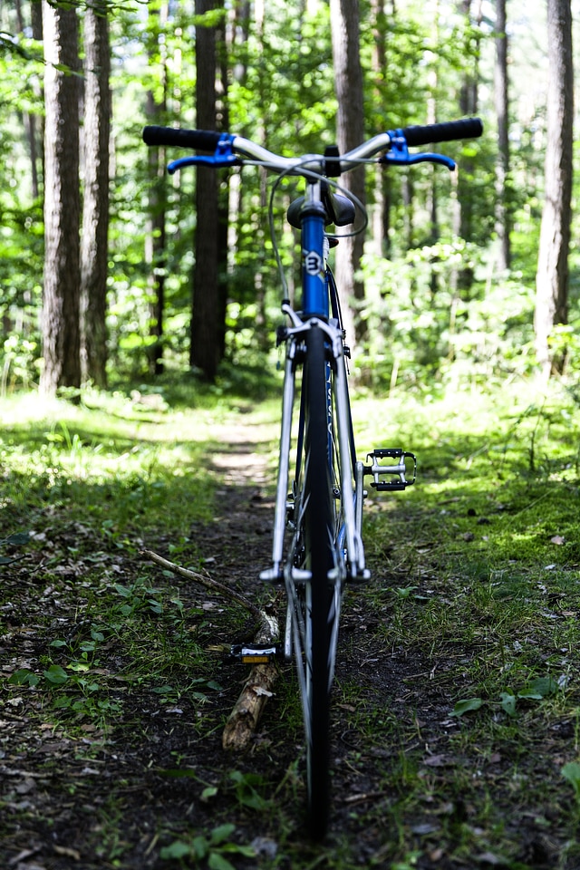 Bike Customised Vintage