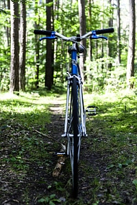 Bike Customised Vintage