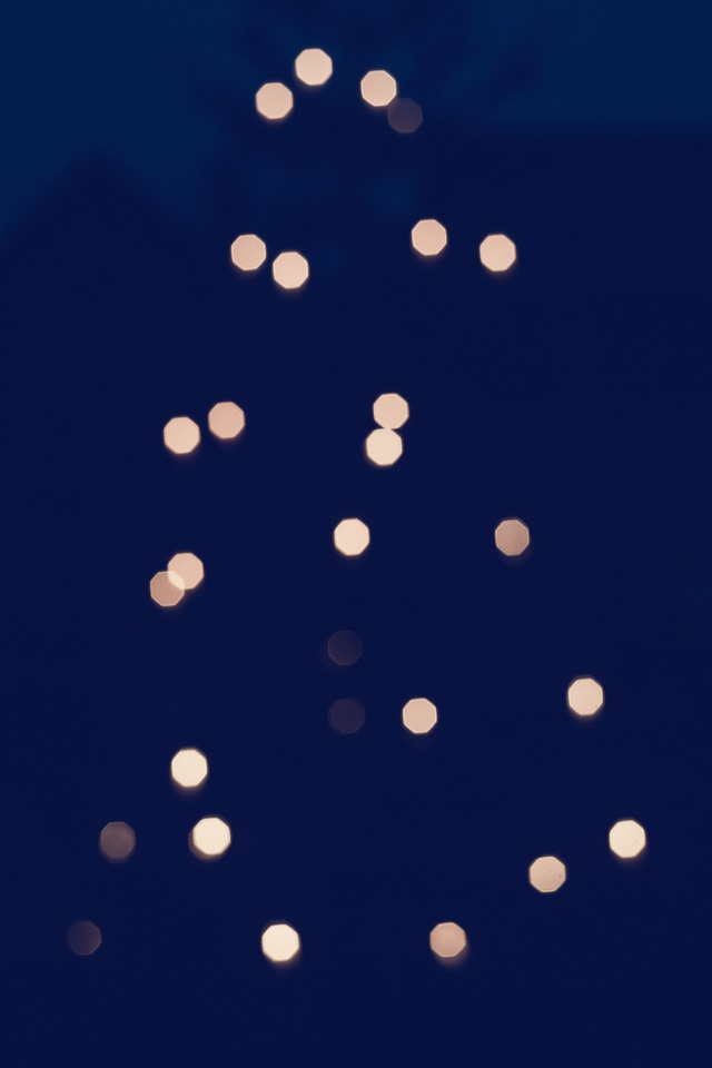 Christmasy Tree Lights