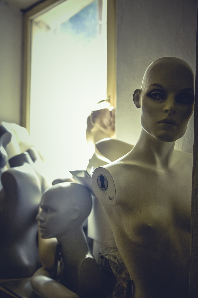 Stock Display Dummy