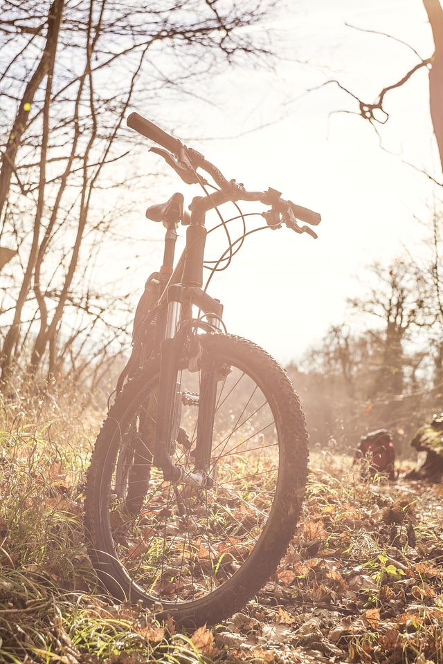 Mountainbike Autumn Tour