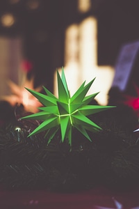 Holy Star Christmas Eve