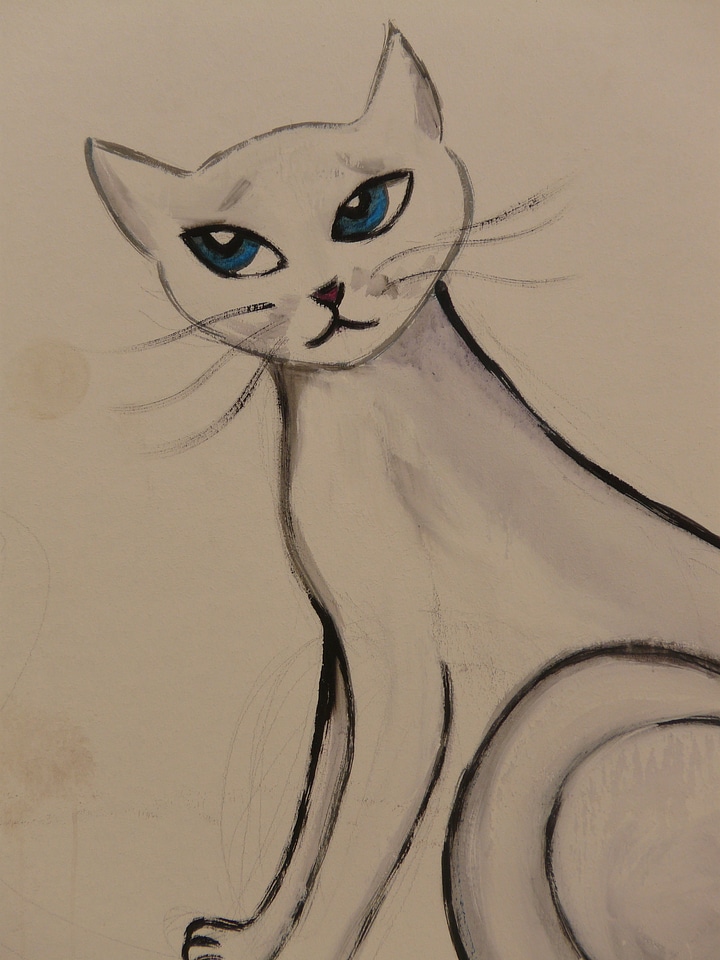 Painting animal graffiti