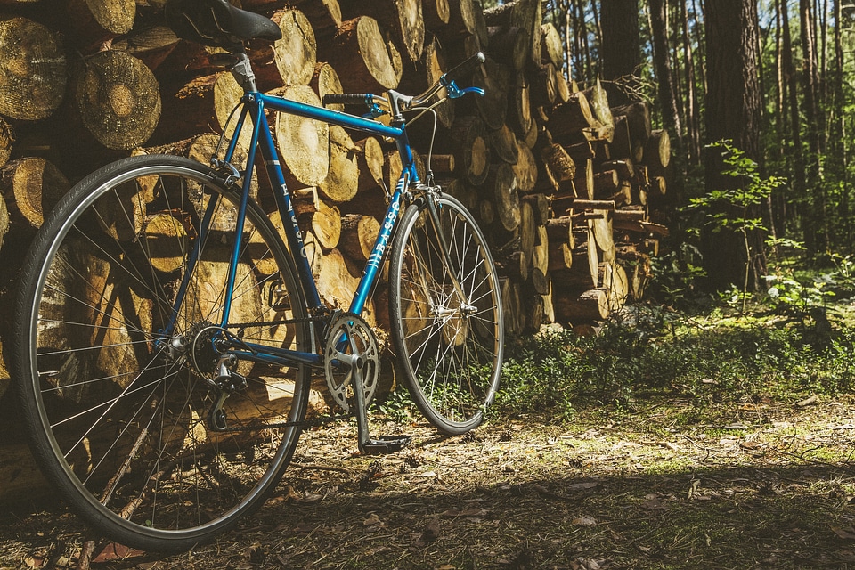 Customised Vintage Bike