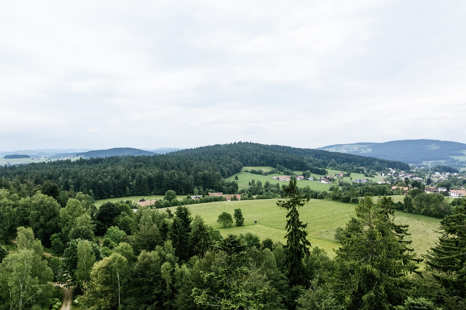 Bavaria Forest Landscape