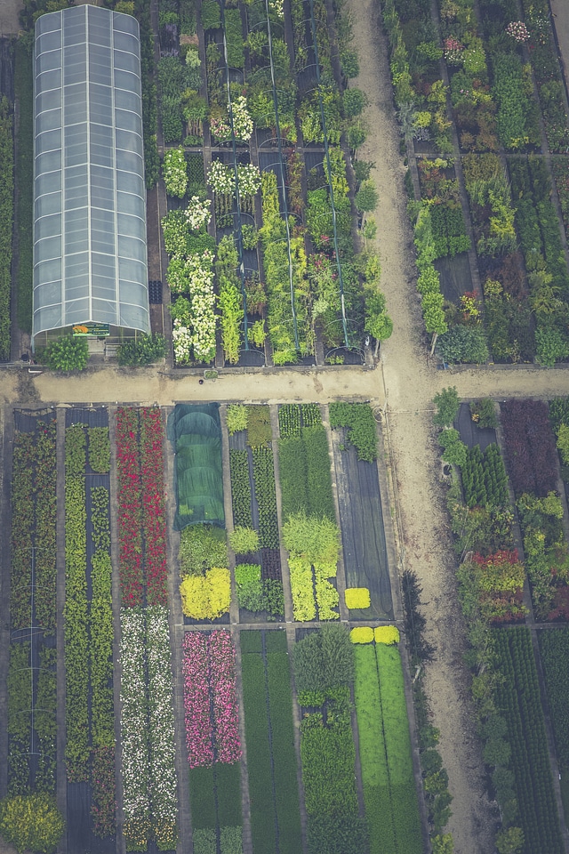 Market Garden Aerial