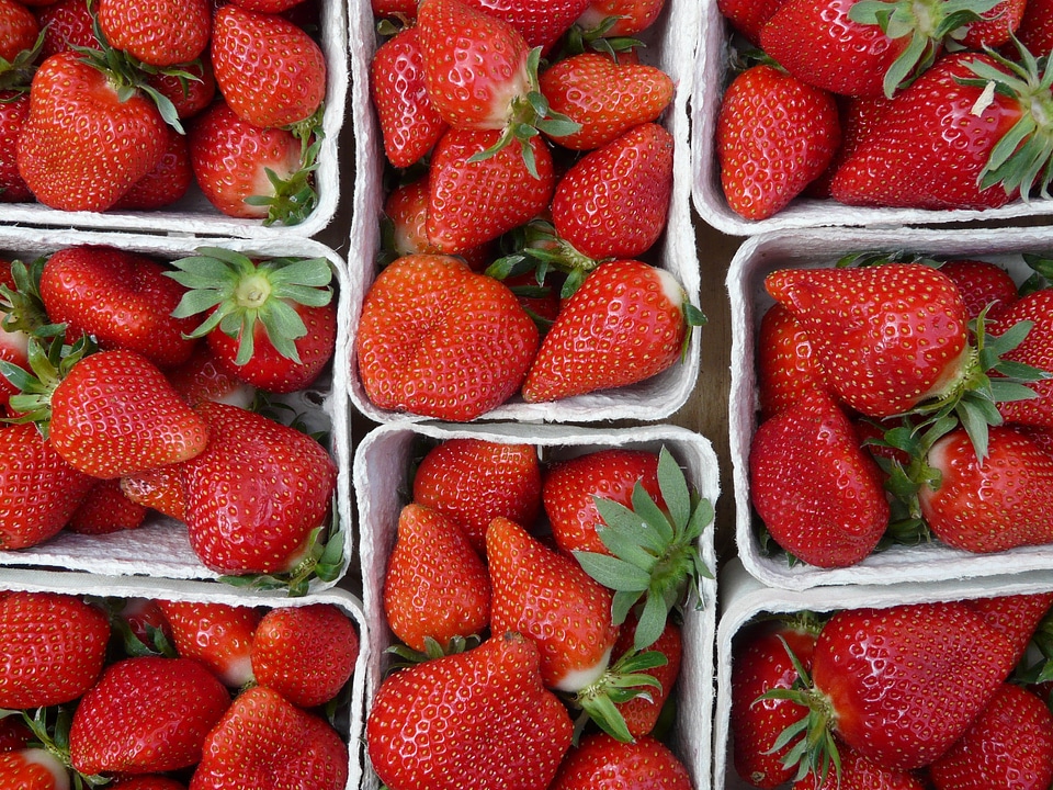 Tasty berry food