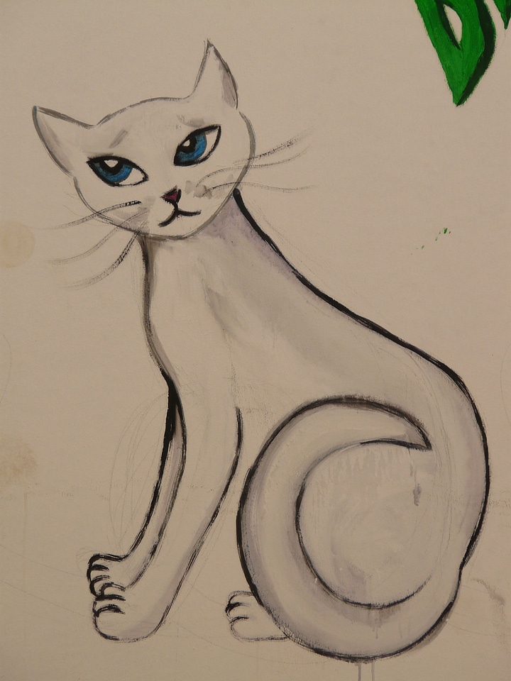Painting animal graffiti