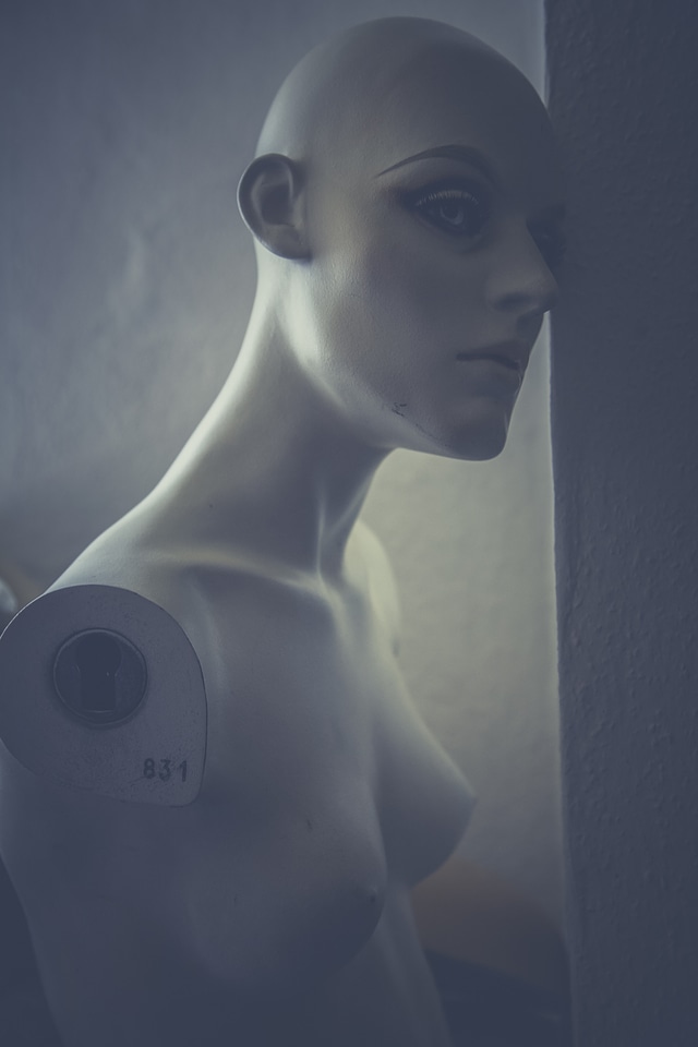 Robotic Display Dummy