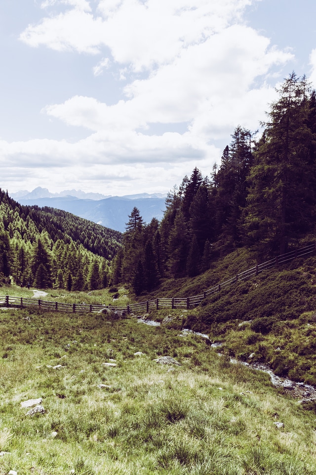 Mountain Stream South Tyrol