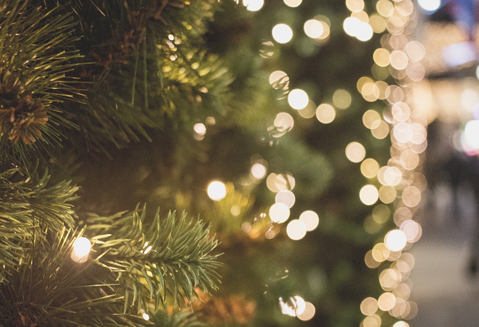 Christmas Lights Tree Bokeh Free Photo