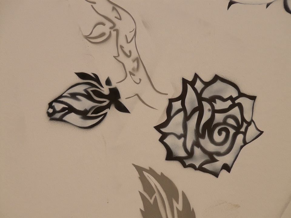Painting animal graffiti