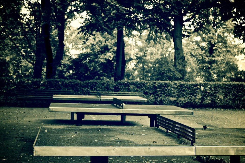 Table Tennis Free Photo