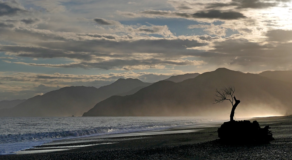 Beach Sunlight Free Photo