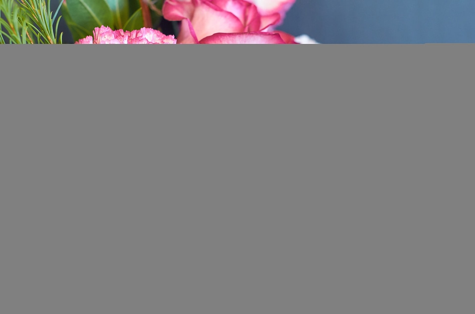 Pink Roses Macro Free Photo