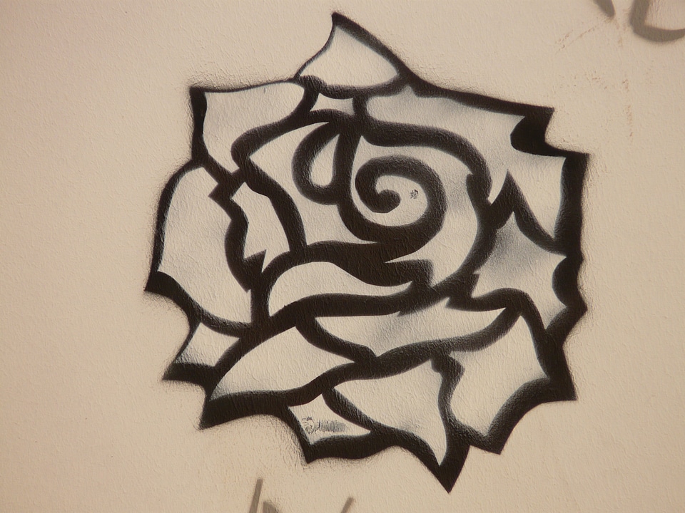 Painting animal graffiti