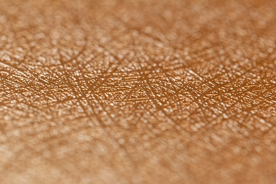 Gold Texture Macro Free Photo