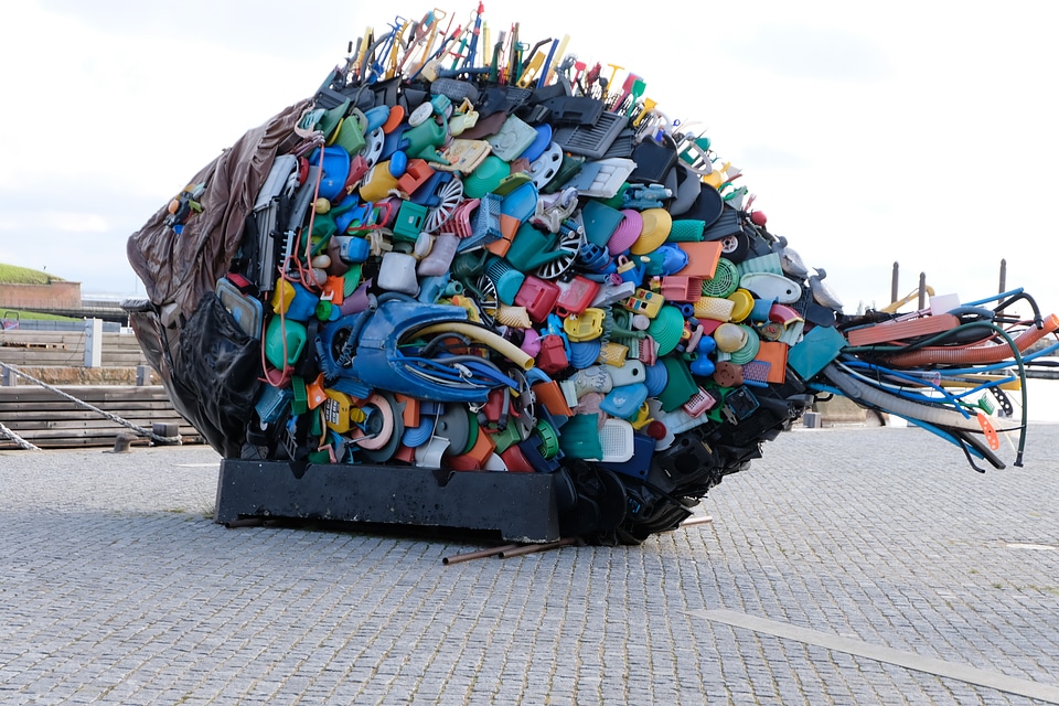 ‘Garbage’ fish – Helsingor (Elsinore), Denmark