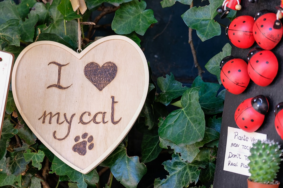 I Love My Cat Wooden Souvenir