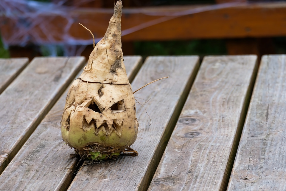 Halloween Carved Turnip