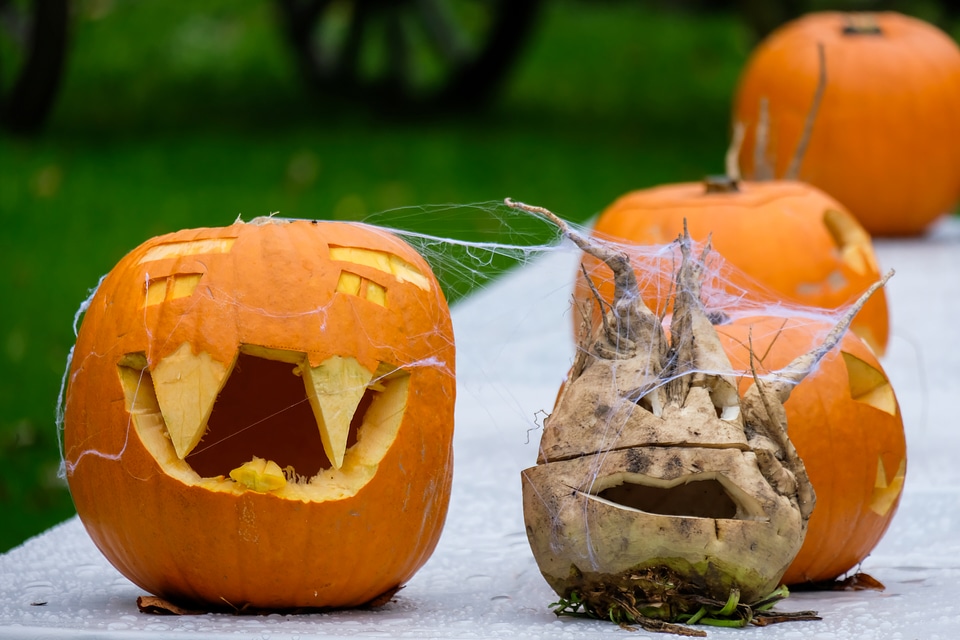 Halloween Carved Pumpkins and Turnip