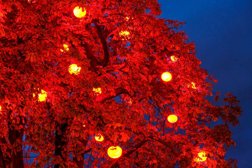 Decorated Red Tree for Halloween photo