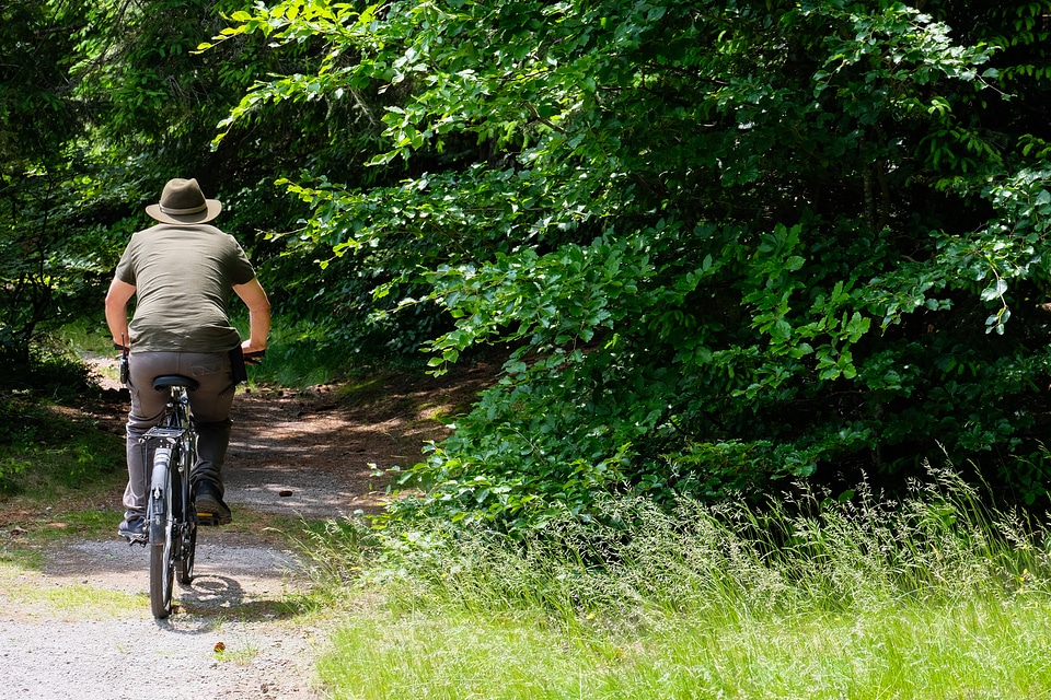 Man Riding a Bicycle in the Forest photo