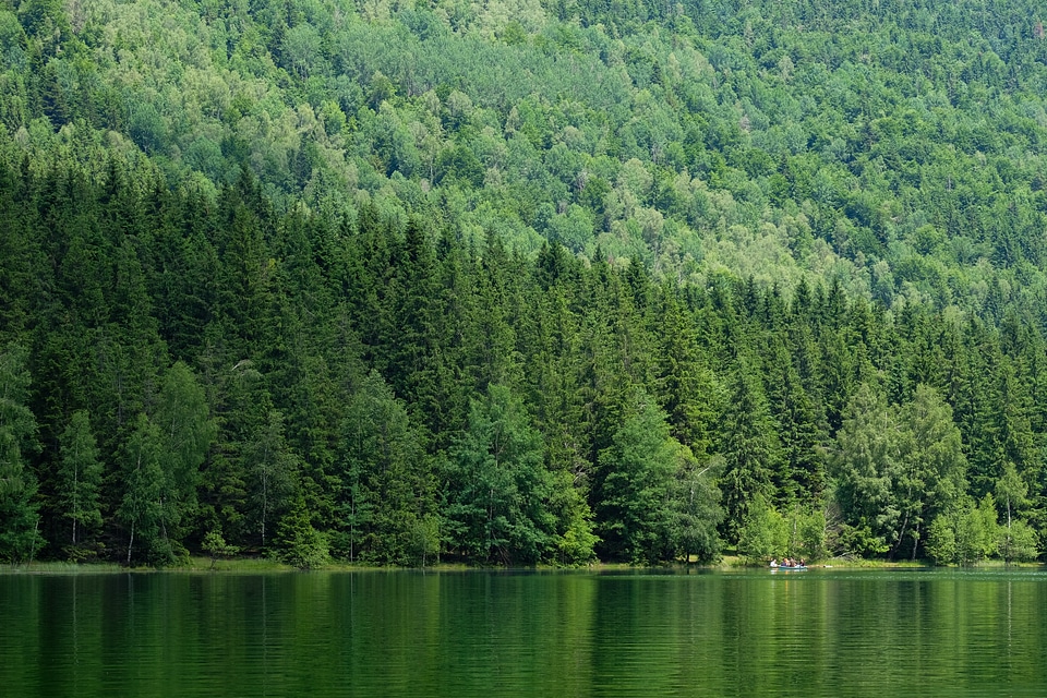 Boat on a Volcanic Green Lake Surrounded of a Forest photo