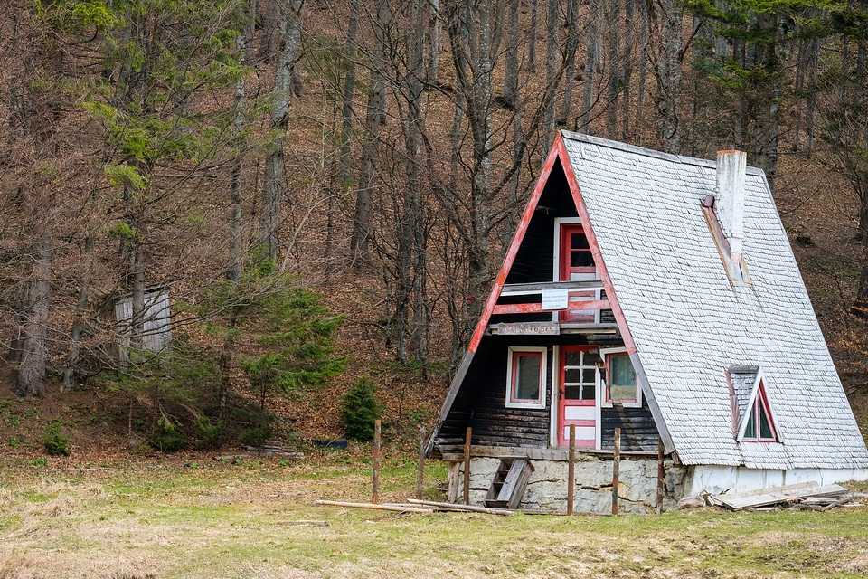 Abandoned Cabin in the Woods photo