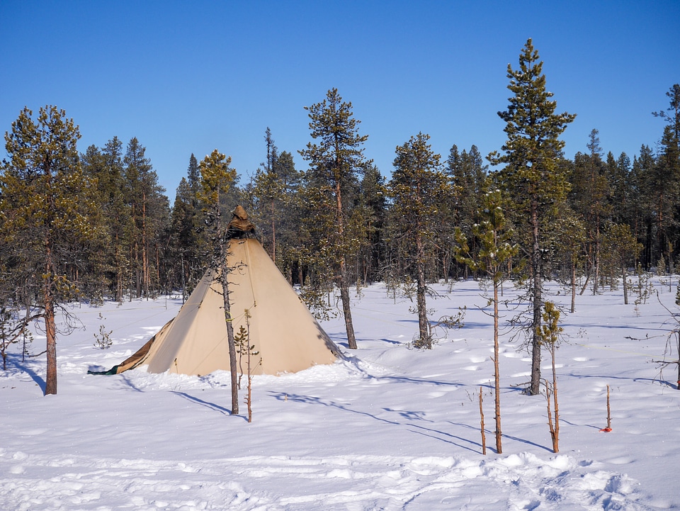 Winter Tent Placed in the Middle of the Forest Surrounded by Snow