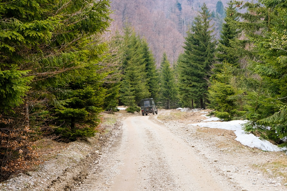 Off-road Car on a Forest Path