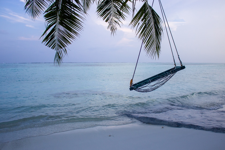 Swing Hanging From a Palm Tree on a Tropical Beach