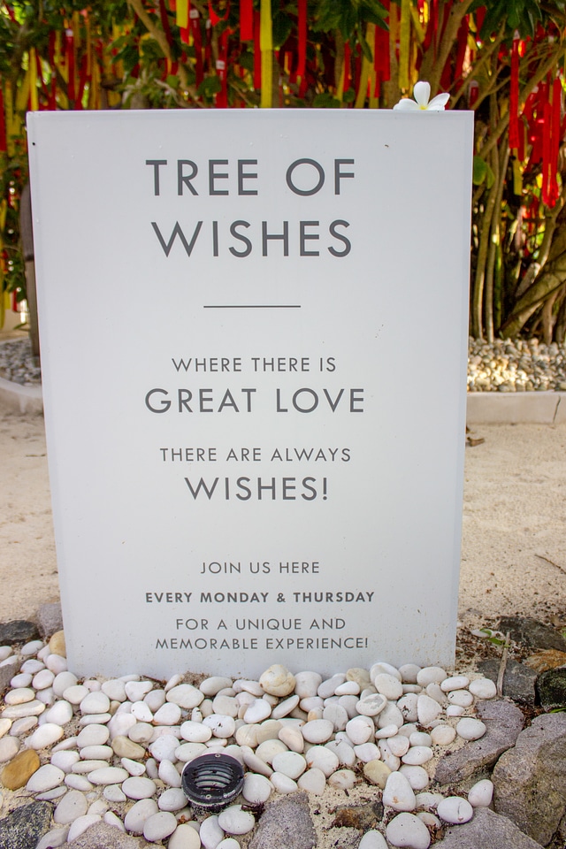 Tree of Wishes Sign on a Tropical Island
