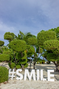 Smile Sign Reminder Placed on the Beach with Trees Behind It photo