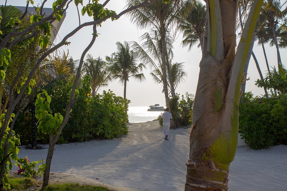 Man Dressed in White Walking on a Beach Among the Trees Towards the Sea photo