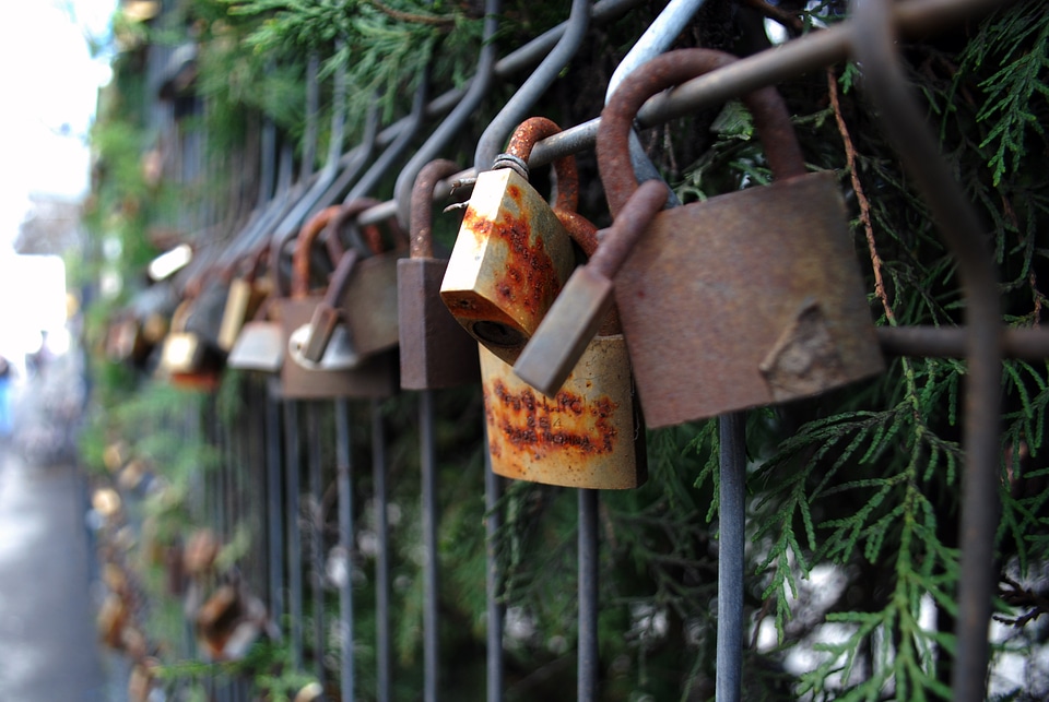 Love Locks Hanging on a Fence