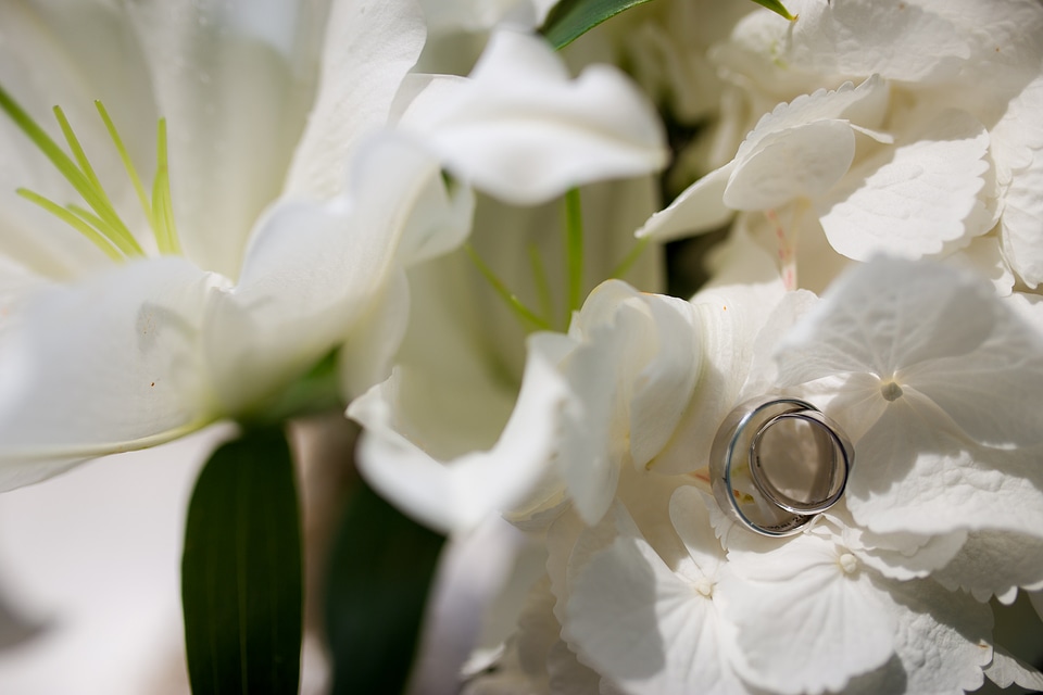 Wedding Rings Placed on Flowers