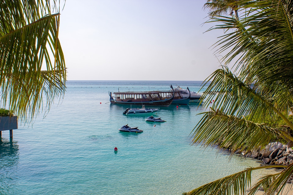 View of Boats and Jet Skis Among the Trees